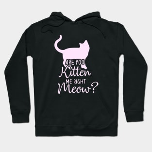 Funny Humor Cat Gift, Are You Kitten Me Right Meow Hoodie